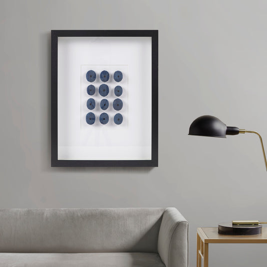 INK+IVY Framed Sea Urchin Shadow Box Wall Decor